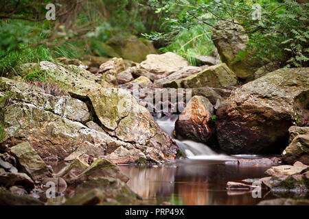 Un ruscello in Hautes Fagnes (Hohes Venn, Hautes Fagnes) in Belgio orientale. Una lunga esposizione shot. Foto Stock