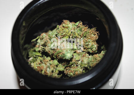 Vaso nero pieno di fiori di cannabis cannabis medicinale Foto Stock