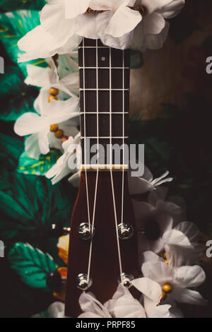 Primo piano di un ukulele contro un sfondo marrone Foto Stock