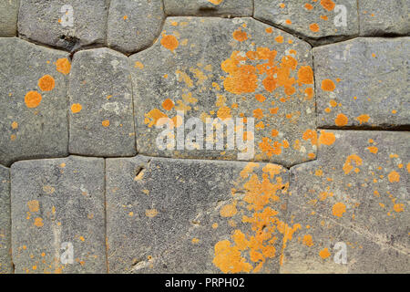 Tempio Inca muro di pietra fatta con perfettamente equipaggiato pietre ricoperto di lichene arancione Foto Stock