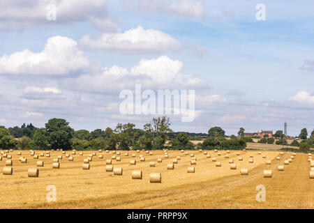 Paesaggio soleggiato e luminoso catturare tempo di raccolta: Balle rotonde di fieno / paglia in campo britannico, primi di agosto, soffici cumuli nuvole in cielo blu. Foto Stock