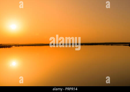 Golden sunset in zone umide con fenicotteri rosa a sfondo Foto Stock