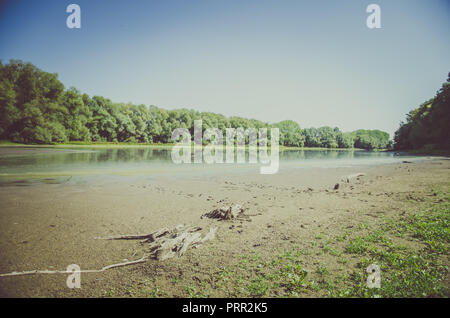 Vista la stagno fangoso shore Foto Stock