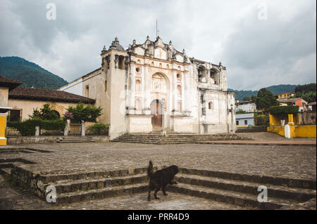 Stray dog passeggiate da fare passi verso una chiesa nella piazza principale della cittadina di San Juan del Obispo, appena fuori Antigua, Guatemala Foto Stock