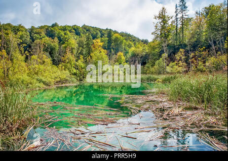 Numerose cascate di uno dei più straordinari laghi di Plitvice, Croazia. Una vera vergine e meraviglioso pezzo di natura Foto Stock