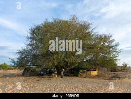 I turisti in campeggio la bussola sotto un albero gigante, provincia di Namibe, Virei, Angola Foto Stock