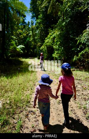 Scuola di età bambini escursioni attraverso una foresta Holding Hands, Palmerston Doongan Wooroonooran National Park, Queensland, Australia Foto Stock