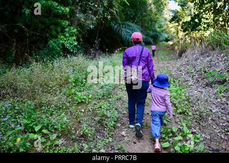 Una madre cammina la sua scuola di età bambini escursioni attraverso una foresta di Palmerston Doongan Wooroonooran National Park, Queensland, Australia Foto Stock