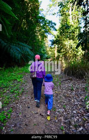 Una madre cammina la sua scuola di età bambini escursioni attraverso una foresta di Palmerston Doongan Wooroonooran National Park, Queensland, Australia Foto Stock