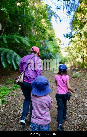 Una madre cammina la sua scuola di età bambini escursioni attraverso una foresta di Palmerston Doongan Wooroonooran National Park, Queensland, Australia Foto Stock