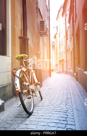 In bici sulla vecchia strada stretta. Sole mattutino Foto Stock