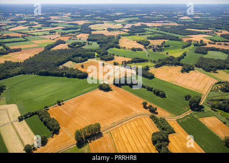 Campi di grano e prati, panoramica da Brock verso Brüskenheide, vicino a Ostbevern, Münsterland, Renania settentrionale-Vestfalia Foto Stock