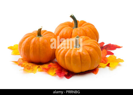 Arancio dolce Zucche in miniatura isolato Foto Stock