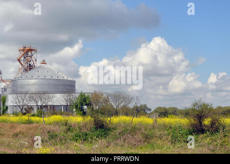 Silos agricoli - Edificio Esterno, stoccaggio ed essiccazione di grani, frumento, mais, soia, girasole contro il cielo blu con i campi di riso Foto Stock