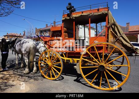 Stagecoach in mostra presso il Woolfest irlandese in Boorowa, Australia Foto Stock