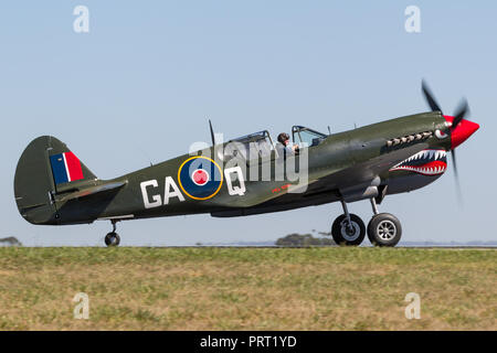 Curtiss P-40N Kittyhawk II Guerra Mondiale fighter aircraft VH-ZOC. Foto Stock
