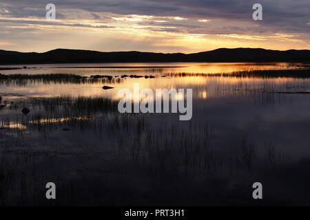 Un tramonto vista su un piccolo lago vicino a spiaggia Achnahaird, Scozia con in primo piano le piante di acqua Foto Stock