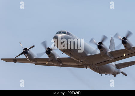 Royal Australian Air Force (RAAF) Lockheed AP-3C Orion di pattugliamento marittimo e Anti guerra sottomarina di aeromobili. Foto Stock