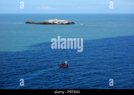 Pulsante centrale del mouse Island (Ynys Badrig) da sopra il vecchio abbandonato le rovine della porcellana Llanlleiana opere su isola di Anglesey sentiero costiero in Galles, NEL REGNO UNITO. Foto Stock