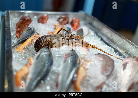 Tigre gigantesca boreale, gamberoni e diversi tipi di pesce in vendita in Grecia. Foto Stock