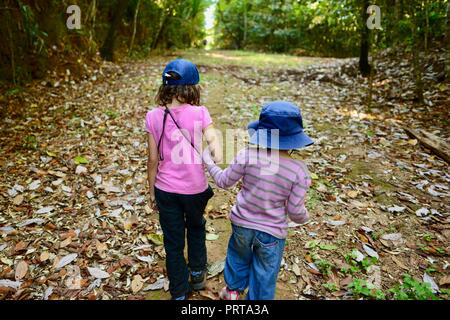 Scuola di età bambini escursioni attraverso una foresta, Misty Mountains deserto le vie di Palmerston Doongan Wooroonooran National Park, Queensland, Australia Foto Stock