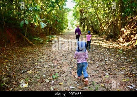 Scuola di età bambini escursioni attraverso una foresta, Misty Mountains deserto le vie di Palmerston Doongan Wooroonooran National Park, Queensland, Australia Foto Stock