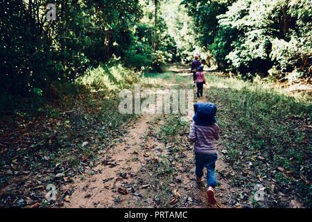 Scuola di età bambini escursioni attraverso una foresta, Misty Mountains deserto le vie di Palmerston Doongan Wooroonooran National Park, Queensland, Australia Foto Stock