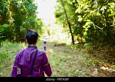 Scuola di età bambini escursioni attraverso una foresta, Misty Mountains deserto le vie di Palmerston Doongan Wooroonooran National Park, Queensland, Australia Foto Stock