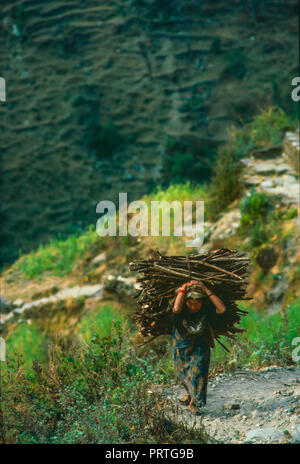 Donna gurung portando un pesante pacchetto di legno dal fondo dei modi Kola Valley. Fotografia analogica Foto Stock