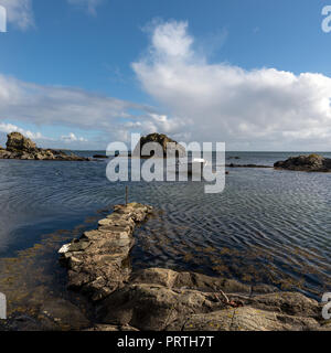 Cigni Piscina all'Ard vicino a Port Ellen sull'isola delle Ebridi di Islay Scozia Scotland Foto Stock