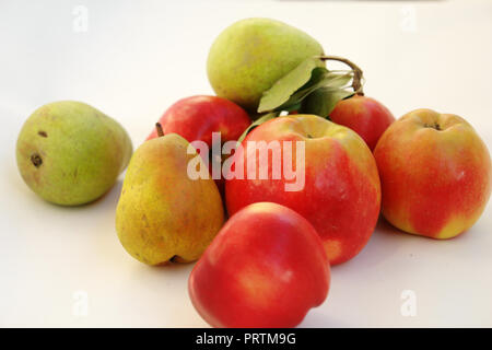 Composizione delle rosse mele e pere verdi su sfondo bianco. Foto Stock