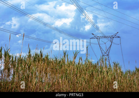 Tempesta in arrivo in campagna con heavey nuvole e vento Foto Stock