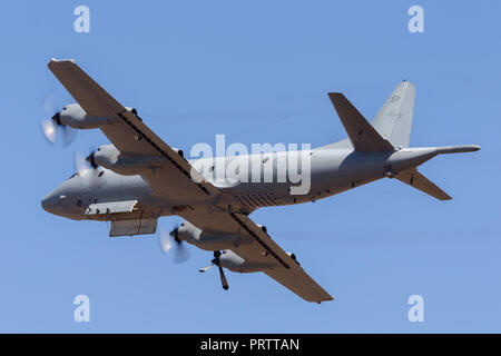 Royal Australian Air Force (RAAF) Lockheed AP-3C Orion di pattugliamento marittimo e Anti guerra sottomarina di aeromobili. Foto Stock