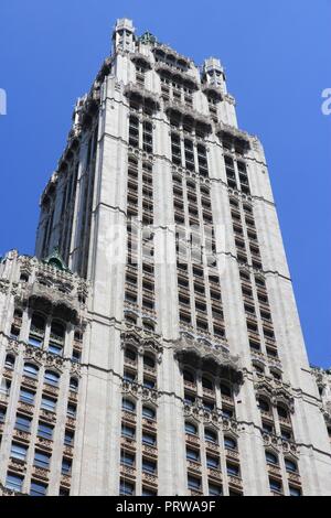 NEW YORK, Stati Uniti d'America - luglio 6, 2013: Woolworth Building vista esterna in New York. Woolworth Building era il più alto del mondo dal 1913 al 1930. Foto Stock