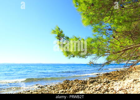 Spiaggia rocciosa vicino a Zadar, mare Adriatico, Croazia Foto Stock
