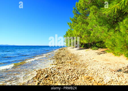 Spiaggia rocciosa vicino a Zadar, mare Adriatico, Croazia Foto Stock