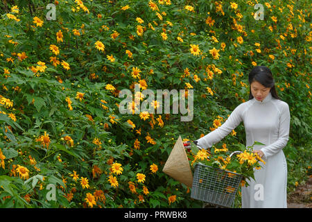 Giovane ragazza camminare sul sentiero di campagna tra i cespugli di girasole selvatico fiorisce in giallo, scena colorati Foto Stock