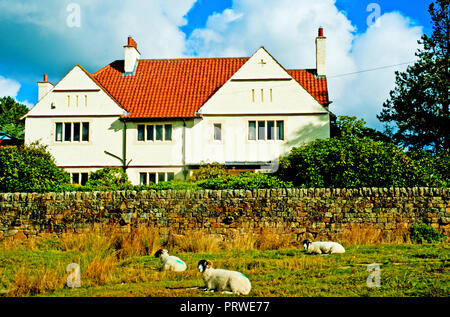 Acqua Arca Lodge, Goathland, North Yorkshire Moors, Inghilterra Foto Stock