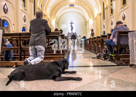 Sao Paulo, Brasile. 4 Ott 2018. I parrocchiani accompagnati dai loro animali domestici assistere ad una messa in occasione di San Francesco di Assisi giorno, in Sao Paulo, Brasile, 04 ottobre 2018. San Francesco di Assisi è noto nella religione cattolica come gli animali' protector Credito: Alf Ribeiro/Alamy Live News Foto Stock