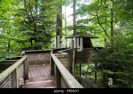 Casa in legno in cascate di Triberg Foto Stock