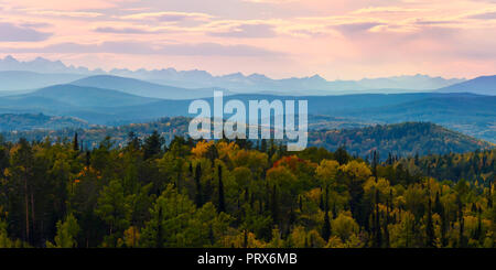 Ampio angolo di panorama autunno foresta,Misty Hills cime in rosa alba. Foto Stock