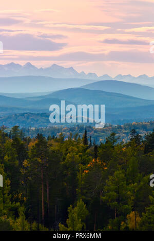 Ampio angolo di panorama autunno foresta, Misty Hills cime in rosa alba. Foto Stock