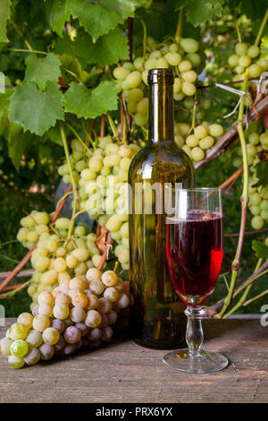 Bicchiere di vino rosso con uve mazzetto, bottiglia di vino su vintage sfondo di legno sul vigneto dello sfondo. I grappoli di verde e giallo di frutti di bosco Foto Stock