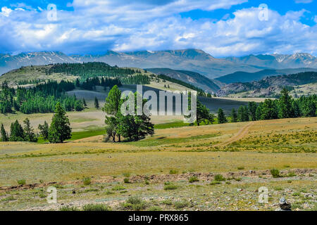 North-Chuya cresta o Severo-Chuiskii gamma - catena di montagne di Altai repubblica, Russia - estate paesaggio di montagna con Chuya steppa in primo piano Foto Stock