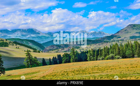 North-Chuya cresta o Severo-Chuiskii gamma - catena di montagne di Altai repubblica, Russia - estate paesaggio di montagna con Chuya steppa in primo piano Foto Stock