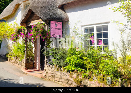 Tradizionale tè inglese camera nell'antico villaggio di paglia di Cockington, Devon, Inghilterra. Foto Stock