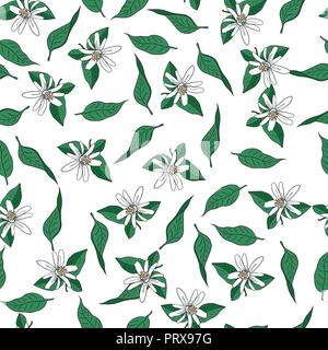 Seamless modello di vettore di fiori e foglie di mandarino albero su sfondo bianco Illustrazione Vettoriale