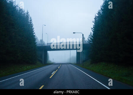 Un autunno di nebbia di mattina sulla strada in Finlandia con i campi sul lato Foto Stock