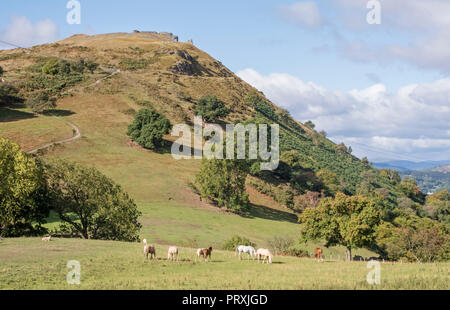 Castell Dinas Brân,'Crow Castello' un castello medievale che occupa un importante sito sulla collina sopra la città di Llangollen in Denbighshire, Wales, Regno Unito Foto Stock