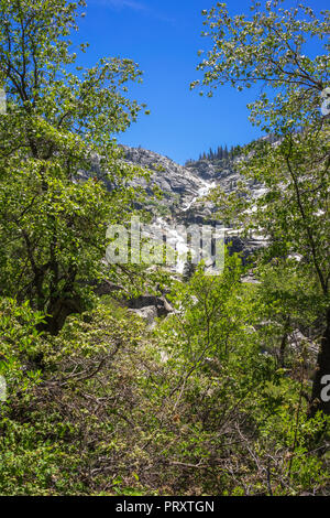 Tokopah rientra nel Parco Nazionale Sequoia Foto Stock